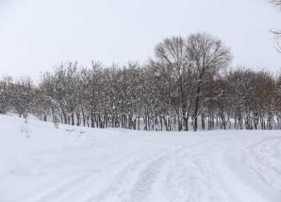 بارش برف در 13 استان ، کوهنوردی نکنید