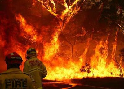تور ارزان استرالیا: آتش سوزی در بیشه زار های استرالیا