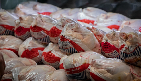 شروع توزیع روزانه هزار تن مرغ منجمد با قیمت 45 هزار تومان
