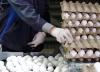 قیمت تخم مرغ بسته بندی تغییر می نماید؟