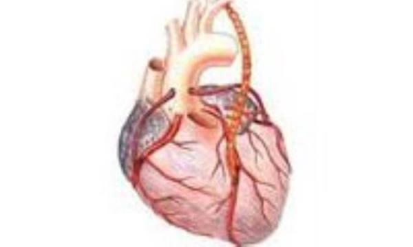 آنژین (درد سینه ناشى از تنگى رگ هاى تغذیه کننده ى قلب)